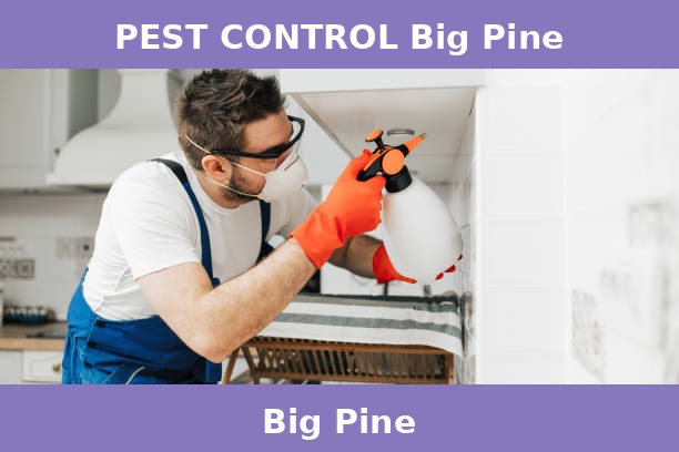 PEST CONTROL Big Pine